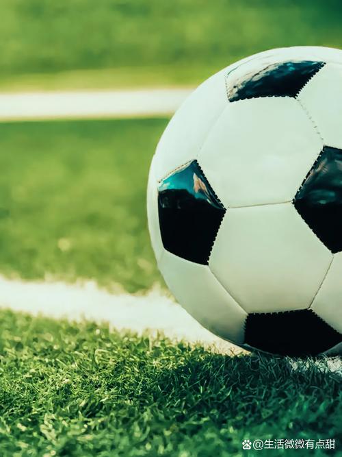 足球比分波胆推荐平台界面展示